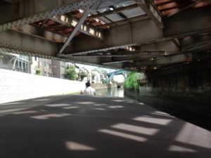 s_IMG_1464