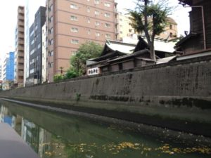 s_IMG_1492