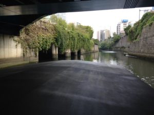 s_IMG_2093