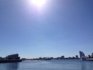 s_IMG_3194
