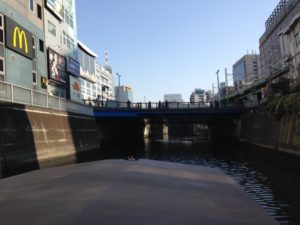 s_IMG_3919