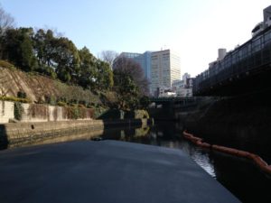 s_IMG_3929
