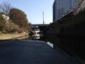 s_IMG_3936