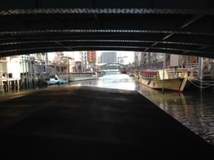 s_IMG_3993