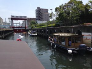 s_IMG_5338