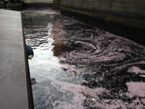 s_IMG_0014