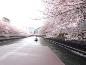 s_IMG_0036