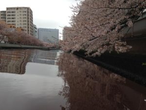 s_IMG_0051