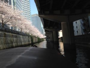 s_IMG_9921