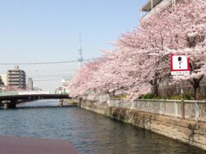 s_IMG_9927