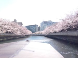 s_IMG_9938