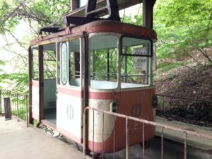 s_IMG_0883