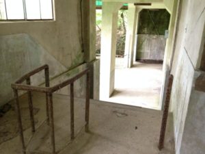 s_IMG_0898