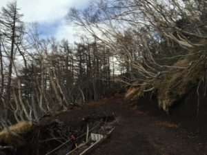 s_IMG_4290