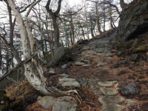s_IMG_4295