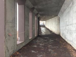 s_IMG_4298