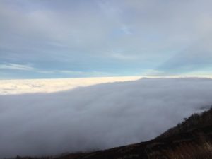 s_IMG_4311