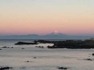 s_IMG_4920