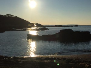 s_IMG_5036