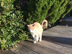 s_IMG_5125
