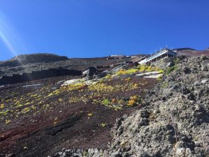 s_IMG_1259
