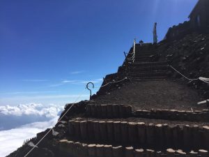 s_IMG_1290